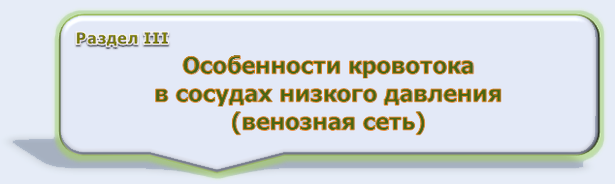Раздел III  Особенности кровотока   в сосудах низкого давления   (венозная сеть)