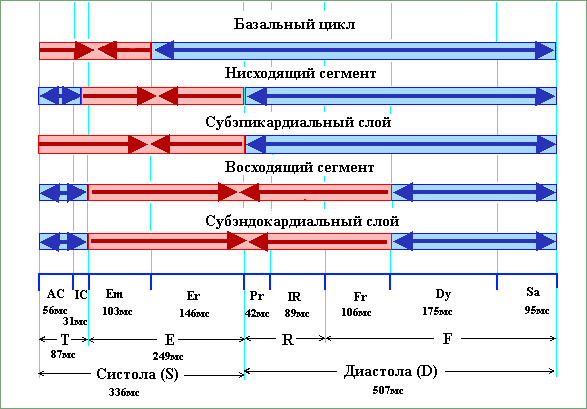 Растяжение миокарда