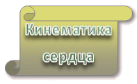 Кинематика сердца